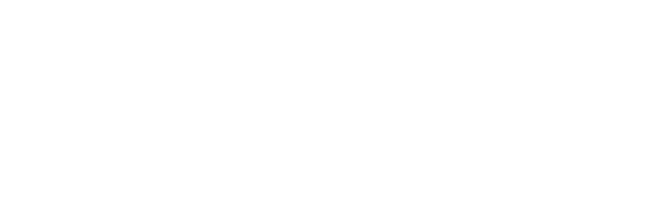 Velantys logo white
