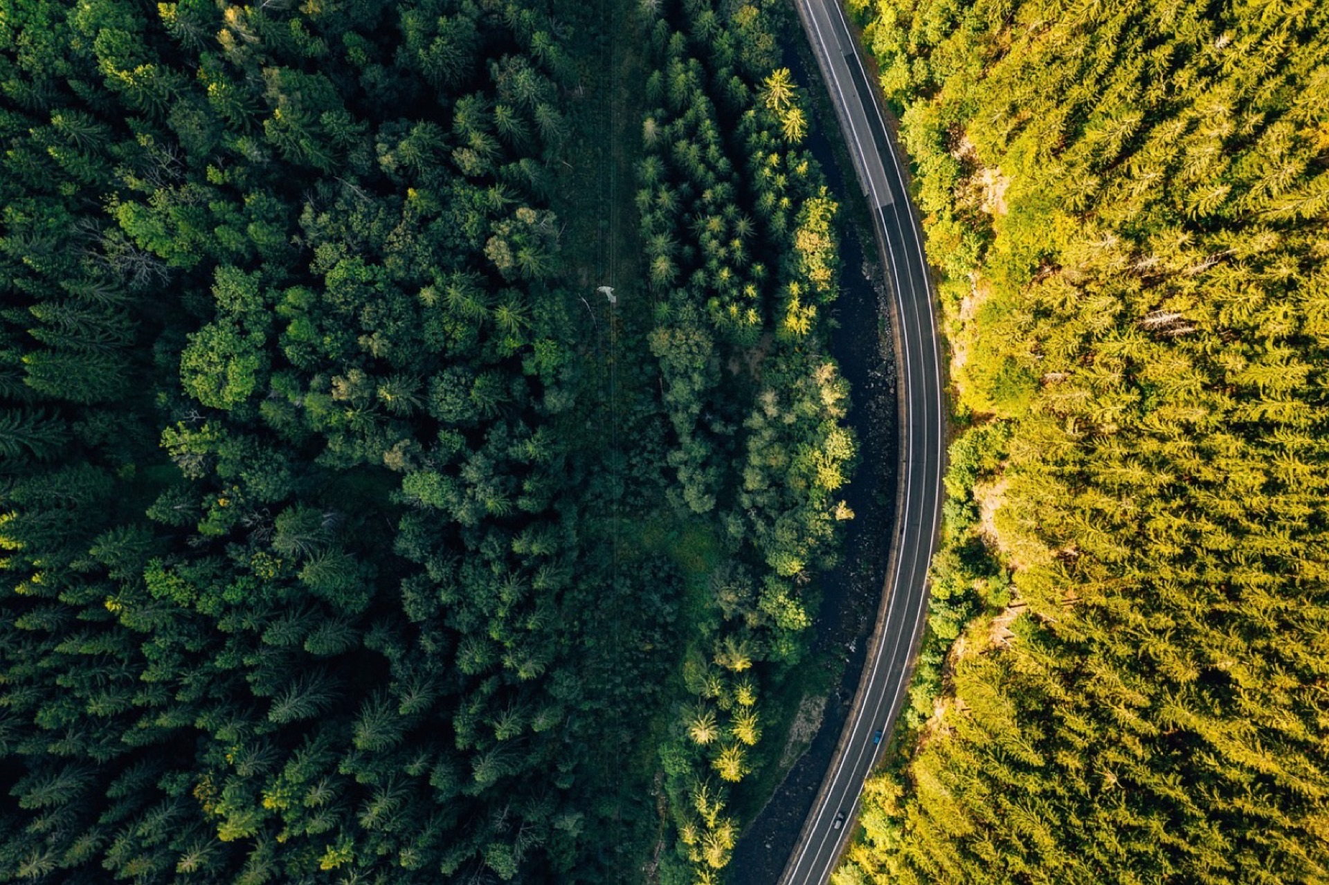 Nature road landscape